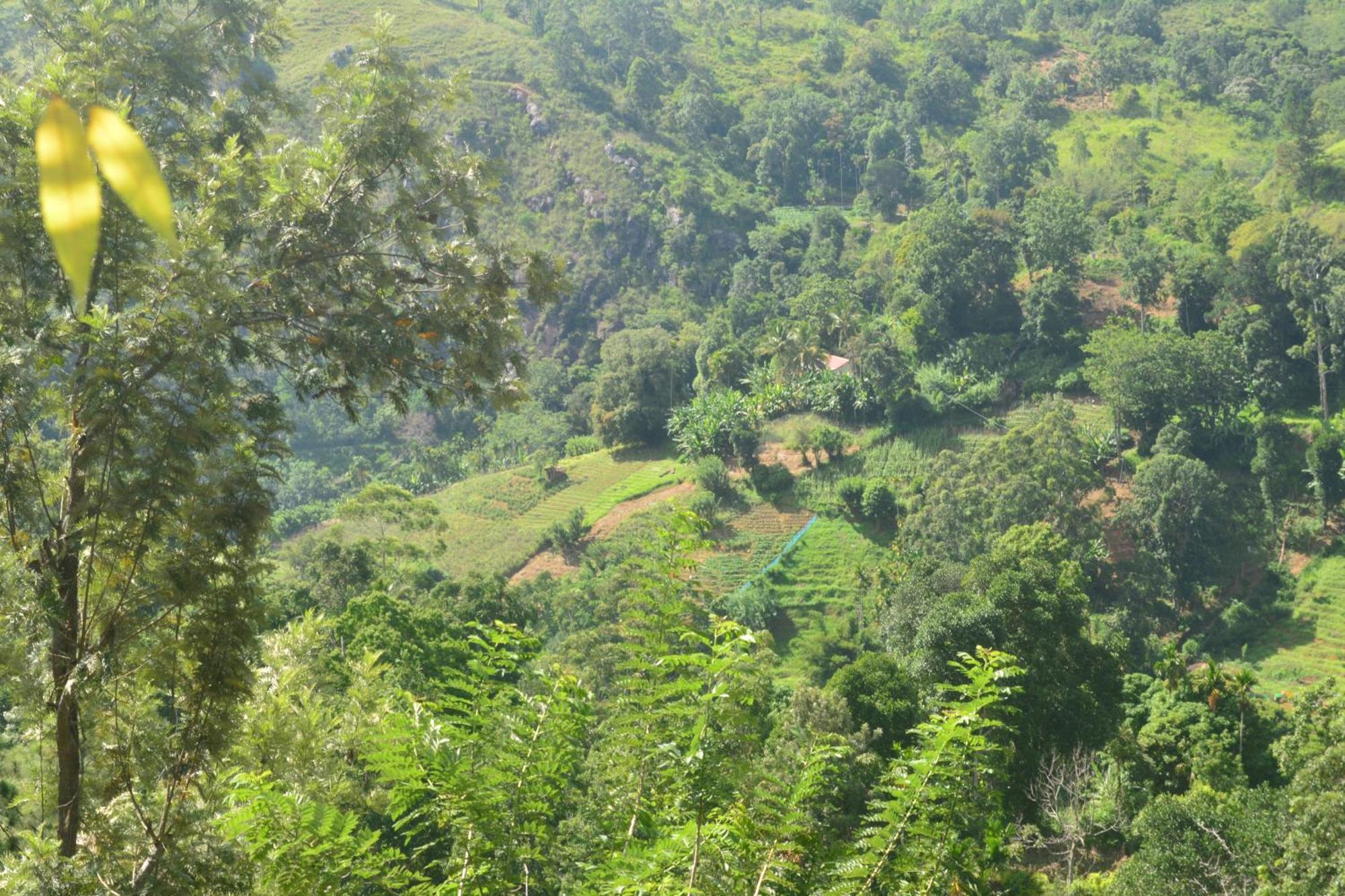 Racy Nature Cottage Ella Esterno foto